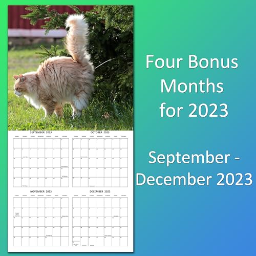 2024 Peeing Cats Monthly Wall Calendar Hilarious Gag Gift White Elephant Gift September 2023 - December 2024 12" x 24" Funny Cats Peeing Prank Gift