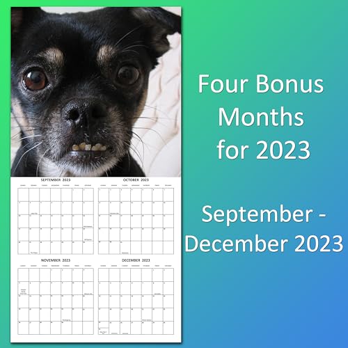 2024 Ugly Dogs Monthly Wall Calendar Hilarious Gag Gift White Elephant Gift for Dog Lovers - September 2023 - December 2024 12" x 24" Open 12" x 12" Closed Funny Dog Images Large Grid Size for Notes