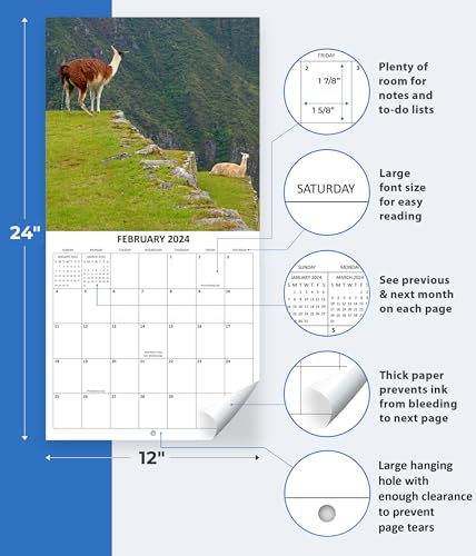 2024 Wild Animals Whizzing Monthly Wall Calendar Wild Animals Pooping Hilarious Gag Gift White Elephant Gift September 2023 - December 2024 12" x 24" Funny Animals Wild Animals Peeing Prank Gift