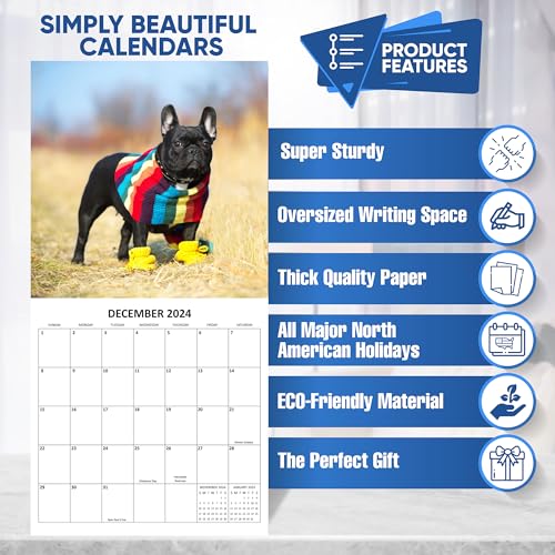 2024 French Bulldogs Monthly Hangable Wall Calendar with Four Bonus Months from 2023 16-Month Large Wall Calendar September 2023-2024 12" x 24" When Open Thick Sturdy Paper Giftable 2024 Dog Calendar