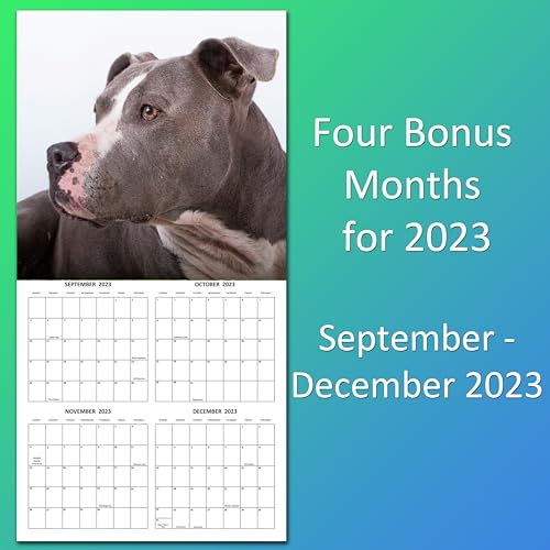 2024 Pitbulls Monthly Hangable Wall Calendar with Four Bonus Months from 2023 16-Month Large Wall Calendar September 2023-2024 12" x 24" Thick Sturdy Paper Giftable 2024 Pit Bull Dog Calendar