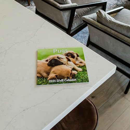 2024 Pugs Dogs Monthly Wall Calendar with Four Bonus Months from 2023 16-Month Calendar Starts in September 2023 until December 2024 12" x 24" (when open) 12" x 12" (when closed) Thick Sturdy Paper