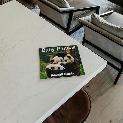 2024 Baby Pandas Monthly Hangable Wall Calendar with Four Bonus Months from 2023 16-Month Large Wall Calendar September 2023-2024 12" x 24" When Open Thick Sturdy Paper Giftable Animal 2024 Calendar