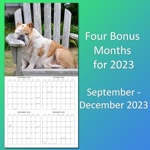 2024 Silly Dogs Hangable Wall Calendar Monthly with Four Bonus Months from 2023 16-Month Large Wall Calendar September 2023-2024 12" x 24" Funny Dog Images Thick Sturdy Paper Giftable 2024 Calendar