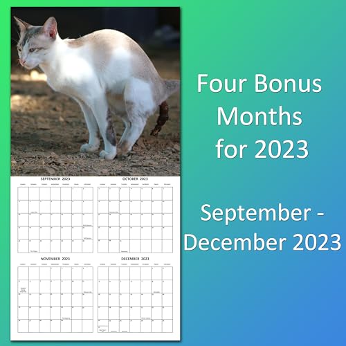 2024 Fecal Felines Crapping Cats White Elephant Gift Monthly Wall Calendar with Four Bonus Months from 2023 16-Month Calendar Starts in September 2023 until December 2024 12" x 24" (when open) 12" x 12" (when closed) Thick Sturdy Paper