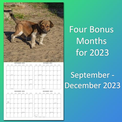 2024 Peeing Dogs Monthly Wall Calendar Hilarious Gag Gift White Elephant Gift September 2023 - December 2024 12" x 24" Funny Dogs Peeing Prank Gift