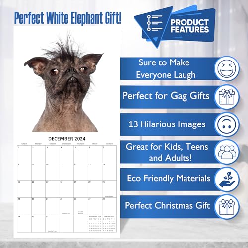 2024 Ugly Dogs Monthly Wall Calendar Hilarious Gag Gift White Elephant Gift for Dog Lovers - September 2023 - December 2024 12" x 24" Open 12" x 12" Closed Funny Dog Images Large Grid Size for Notes