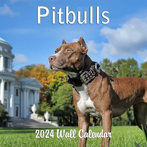 2024 Pitbulls Monthly Hangable Wall Calendar with Four Bonus Months from 2023 16-Month Large Wall Calendar September 2023-2024 12" x 24" Thick Sturdy Paper Giftable 2024 Pit Bull Dog Calendar