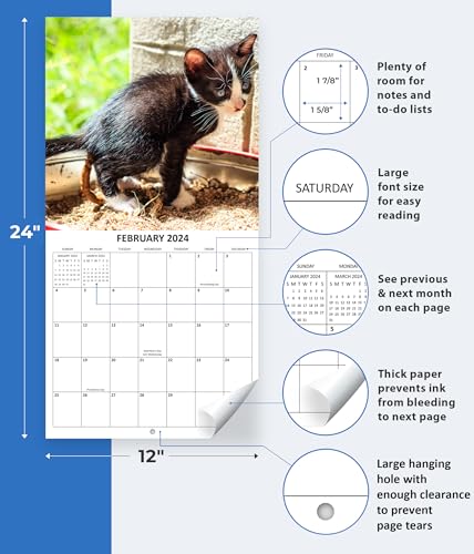 2024 Fecal Felines Crapping Cats White Elephant Gift Monthly Wall Calendar with Four Bonus Months from 2023 16-Month Calendar Starts in September 2023 until December 2024 12" x 24" (when open) 12" x 12" (when closed) Thick Sturdy Paper