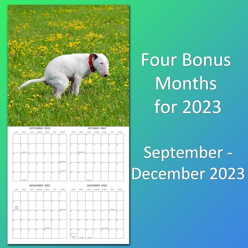 2024 Dumping Dogs Hilarious Pooping Crapping Dogs Monthly Wall Calendar with Four Bonus Months from 2023 16-Month Calendar Starts in September 2023 until December 2024 12" x 24" (when open) 12" x 12" (when closed) Thick Sturdy Paper Prank Joke White Eleph