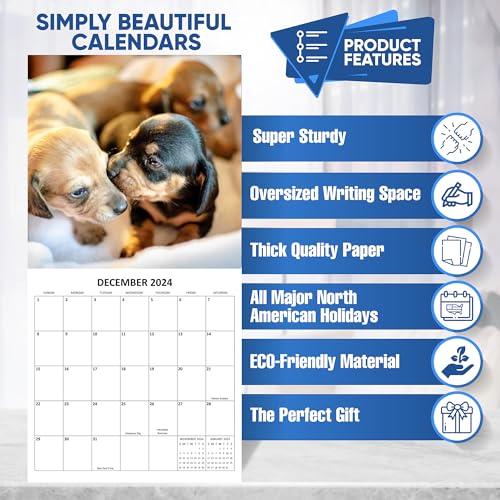 2024 Dachshund Weiner Dogs Monthly Wall Calendar with Four Bonus Months from 2023 16-Month Calendar Starts in September 2023 until December 2024 12" x 24" (when open) 12" x 12" (when closed) Thick Sturdy Paper