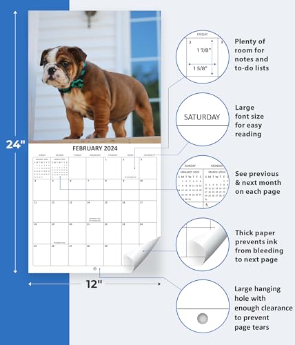 2024 English Bulldogs Hangable Wall Calendar with Four Bonus Months from 2023 16-Month Large Wall Calendar September 2023-2024 12" x 24" When Open Thick Sturdy Paper Giftable 2024 Dog Calendar