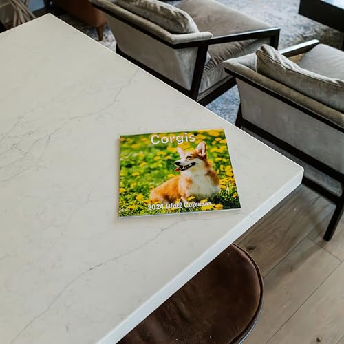 2024 Corgis Dogs Puppies Monthly Wall Calendar with Four Bonus Months from 2023 16-Month Calendar Starts in September 2023 until December 2024 12" x 24" (when open) 12" x 12" (when closed) Thick Sturdy Paper