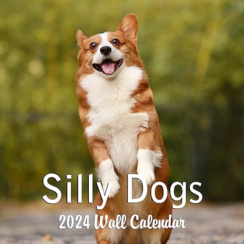 2024 Silly Dogs Hangable Wall Calendar Monthly with Four Bonus Months from 2023 16-Month Large Wall Calendar September 2023-2024 12" x 24" Funny Dog Images Thick Sturdy Paper Giftable 2024 Calendar