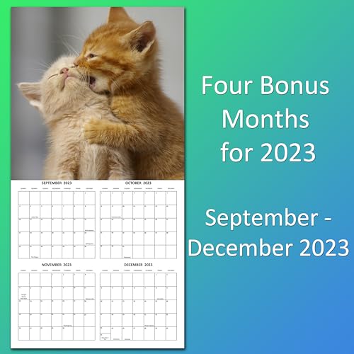 2024 Cute Kittens Monthly Wall Calendar with Four Bonus Months from 2023 16-Month Calendar Starts in September 2023 until December 2024 12" x 24" (when open) 12" x 12" (when closed) Thick Sturdy Paper Wall Calendar 2023-2024