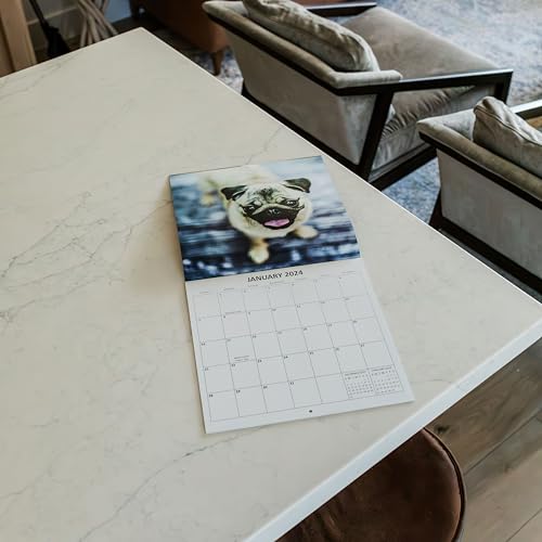 2024 Pugs Dogs Monthly Wall Calendar with Four Bonus Months from 2023 16-Month Calendar Starts in September 2023 until December 2024 12" x 24" (when open) 12" x 12" (when closed) Thick Sturdy Paper