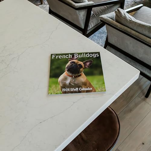 2024 French Bulldogs Monthly Hangable Wall Calendar with Four Bonus Months from 2023 16-Month Large Wall Calendar September 2023-2024 12" x 24" When Open Thick Sturdy Paper Giftable 2024 Dog Calendar