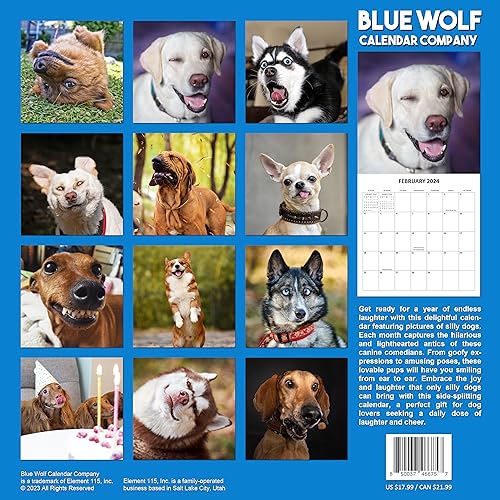 2024 Silly Dogs Hangable Wall Calendar Monthly with Four Bonus Months from 2023 16-Month Large Wall Calendar September 2023-2024 12" x 24" Funny Dog Images Thick Sturdy Paper Giftable 2024 Calendar