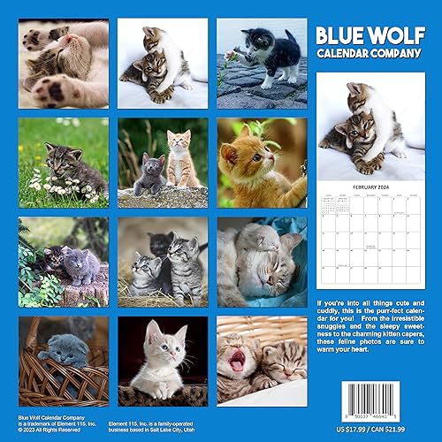 2024 Cute Kittens Monthly Wall Calendar with Four Bonus Months from 2023 16-Month Calendar Starts in September 2023 until December 2024 12" x 24" (when open) 12" x 12" (when closed) Thick Sturdy Paper Wall Calendar 2023-2024