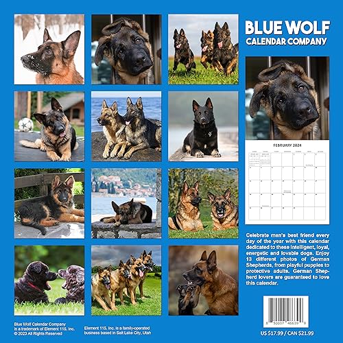 2024 German Shepherds Dogs Monthly Wall Calendar with Four Bonus Months from 2023 16-Month Calendar Starts in September 2023 until December 2024 12" x 24" (when open) 12" x 12" (when closed) Thick Sturdy Paper