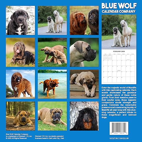 2024 Mastiffs Monthly Wall Calendar with Four Bonus Months from 2023 16-Month Large Wall Calendar September 2023-2024 12" x 24" When Open Thick Sturdy Paper Giftable 2024 Dog Calendar