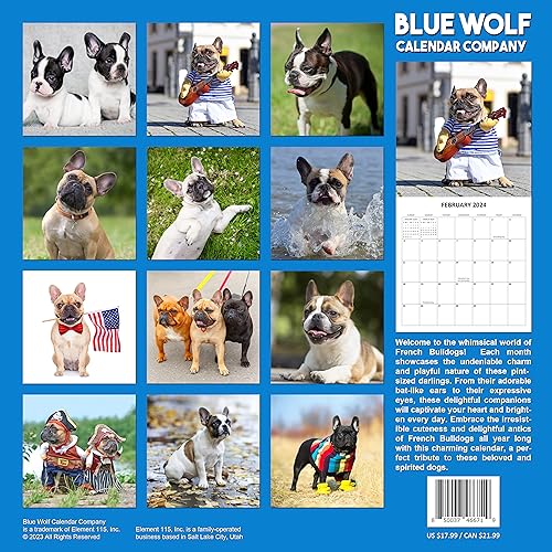 2024 French Bulldogs Monthly Hangable Wall Calendar with Four Bonus Months from 2023 16-Month Large Wall Calendar September 2023-2024 12" x 24" When Open Thick Sturdy Paper Giftable 2024 Dog Calendar