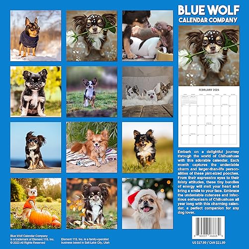 2024 Chihuahua Monthly Hangable Wall Calendar with Four Bonus Months from 2023 16-Month Large Wall Calendar September 2023-2024 12" x 24" When Open Thick Sturdy Paper Giftable 2024 Chihuaha Dog Calendar