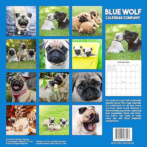 2024 Pugs Dogs Monthly Wall Calendar with Four Bonus Months from 2023 16-Month Calendar Starts in September 2023 until December 2024 12" x 24" (when open) 12" x 12" (when closed) Thick Sturdy Paper