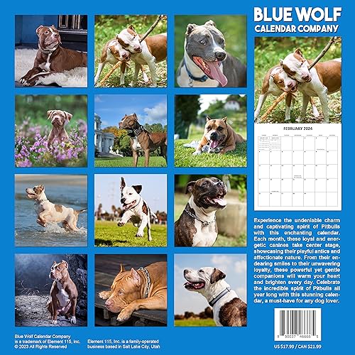 2024 Pitbulls Monthly Hangable Wall Calendar with Four Bonus Months from 2023 16-Month Large Wall Calendar September 2023-2024 12" x 24" Thick Sturdy Paper Giftable 2024 Pit Bull Dog Calendar