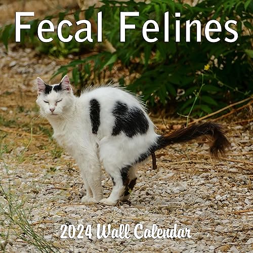 2024 Fecal Felines Crapping Cats White Elephant Gift Monthly Wall Calendar with Four Bonus Months from 2023 16-Month Calendar Starts in September 2023 until December 2024 12" x 24" (when open) 12" x 12" (when closed) Thick Sturdy Paper