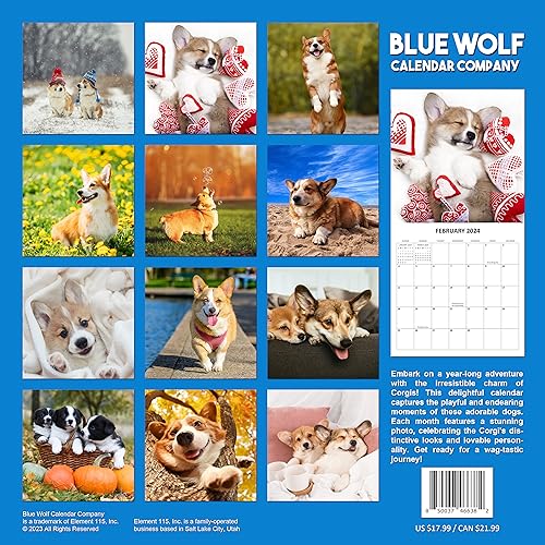 2024 Corgis Dogs Puppies Monthly Wall Calendar with Four Bonus Months from 2023 16-Month Calendar Starts in September 2023 until December 2024 12" x 24" (when open) 12" x 12" (when closed) Thick Sturdy Paper